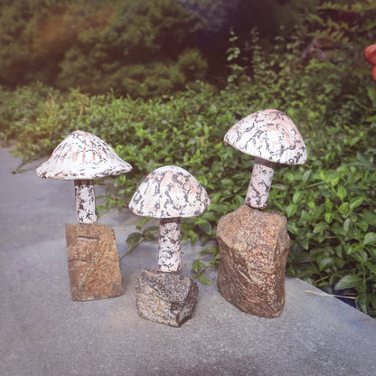 Little Fungi On Stone Garden Statue