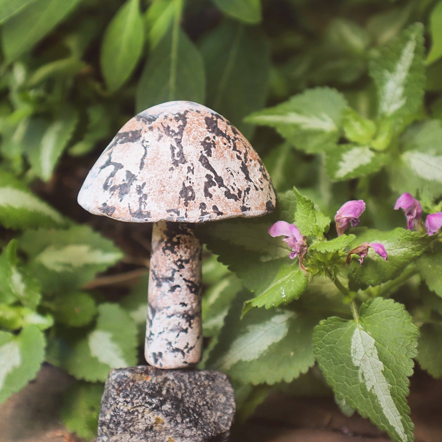 Little Fungi On Stone Garden Statue