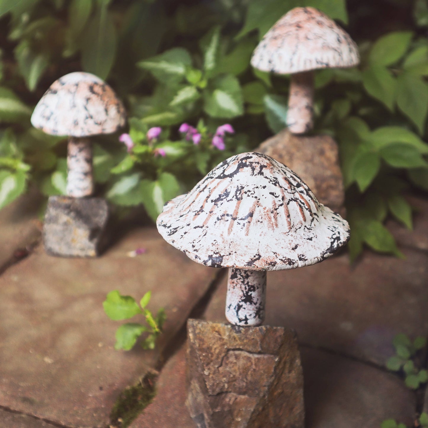 Little Fungi On Stone Garden Statue