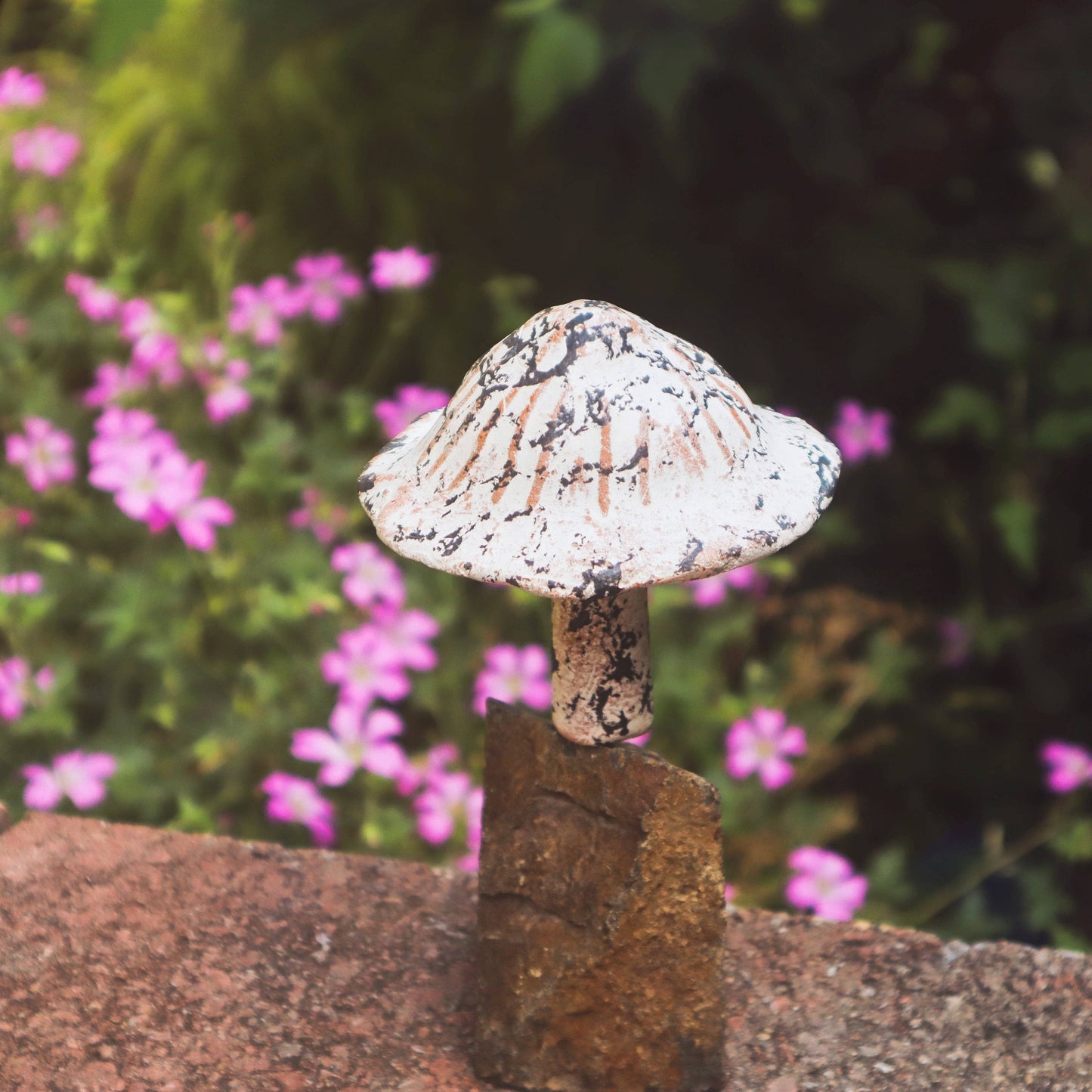 Little Fungi On Stone Garden Statue