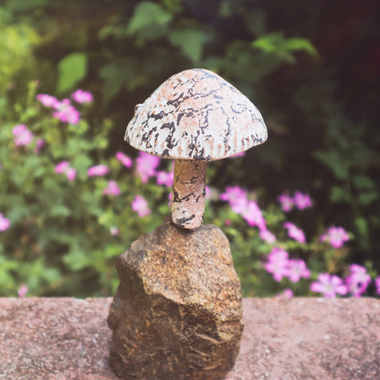 Little Fungi On Stone Garden Statue