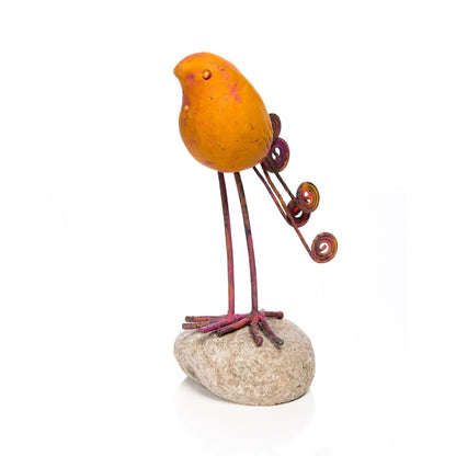 Bird on River Stone