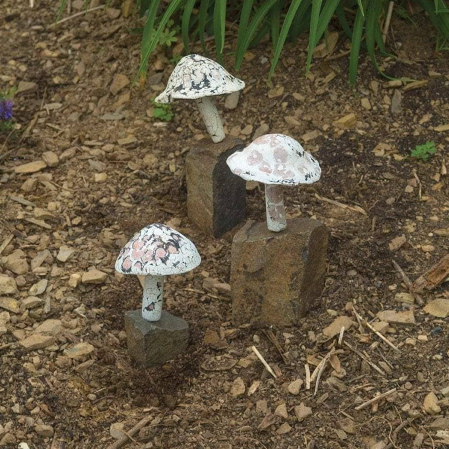 Little Fungi On Stone Garden Statue